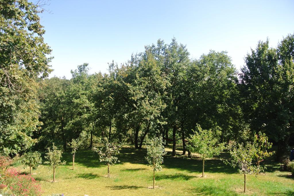 A L'Oree Du Bois Rillieux-la-Pape Oda fotoğraf